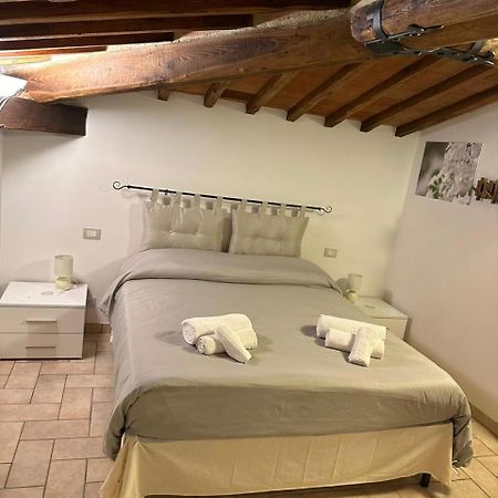 Apartament Il Nido Di Fede E Romy Castelnuovo Berardenga Zewnętrze zdjęcie